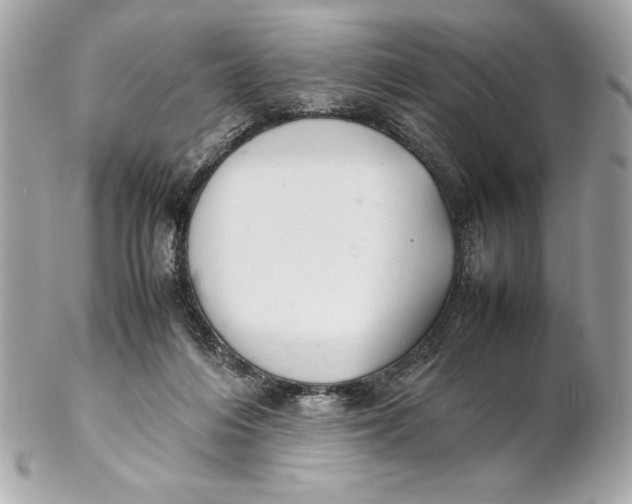 X0000102260216200808151848