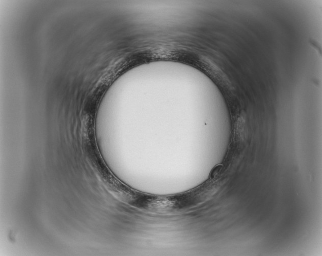 X0000102260217200808151848