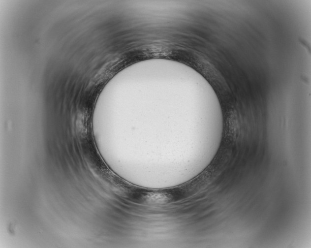 X0000102260218200808151848