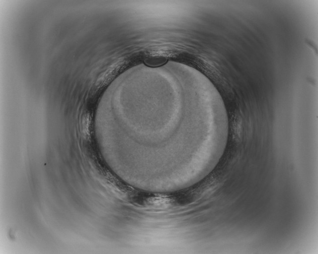 X0000102260219200808151848