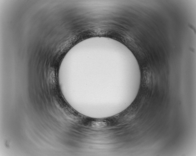 X0000102260220200808151848