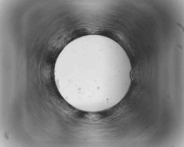 X0000102260221200808151848