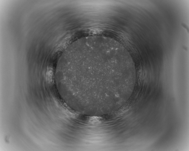 X0000102260222200808151848