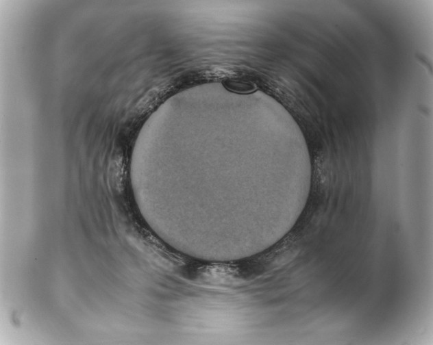 X0000102260223200808151848