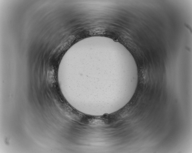 X0000102260224200808151848