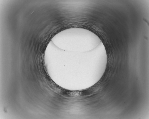X0000102260225200808151848