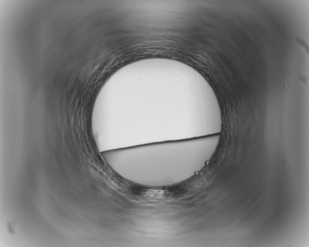 X0000102260227200808151848