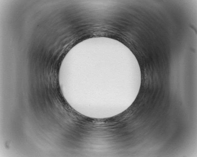 X0000102260228200808151848