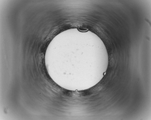 X0000102260229200808151848