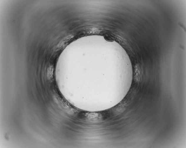 X0000102260230200808151848