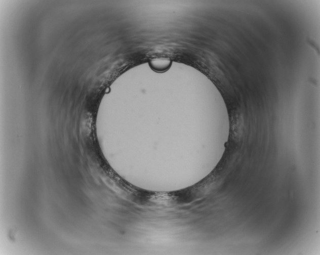 X0000102260231200808151848