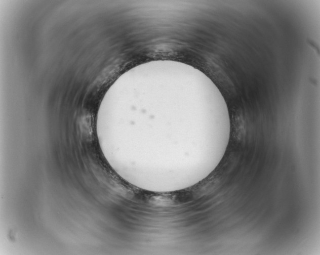 X0000102260232200808151848