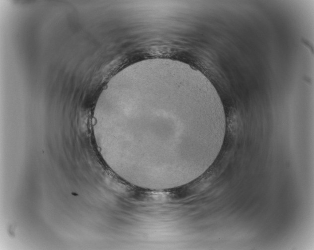 X0000102260233200808151848