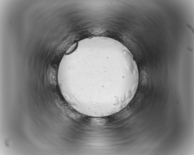 X0000102260234200808151848