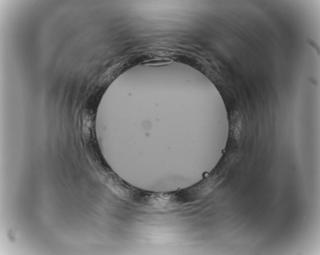 X0000102260235200808151848