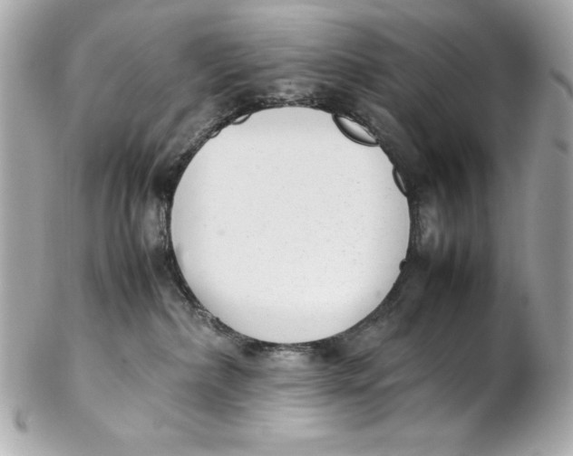 X0000102260236200808151848