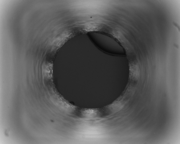 X0000102260237200808151848