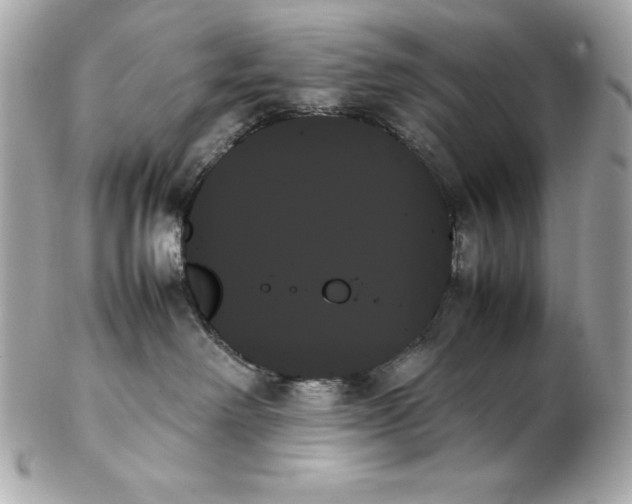 X0000102260238200808151848