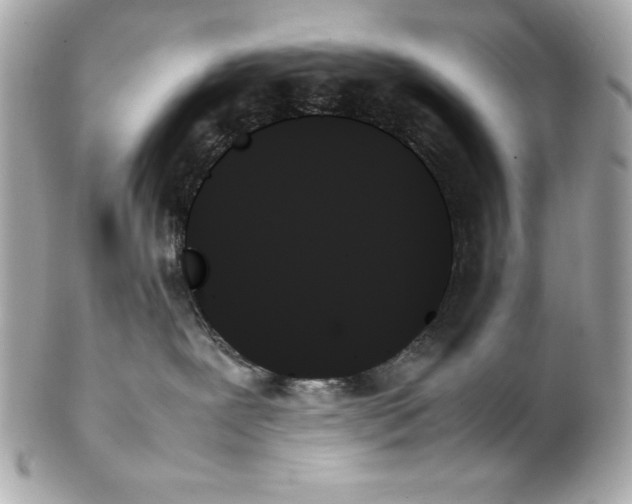 X0000102260239200808151848