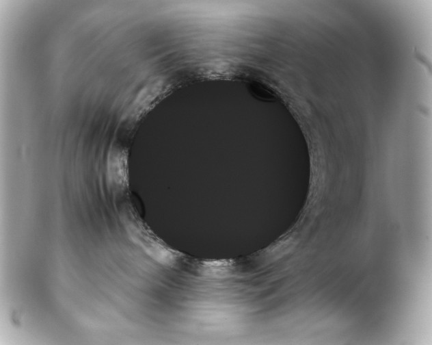 X0000102260240200808151848