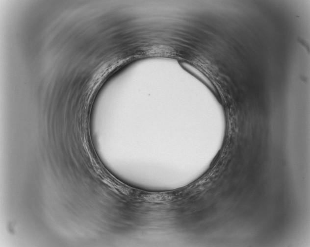 X0000102260241200808151847