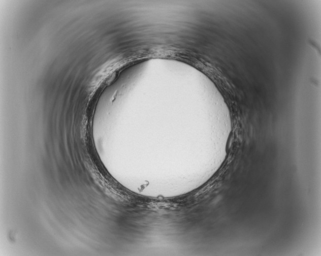X0000102260242200808151847