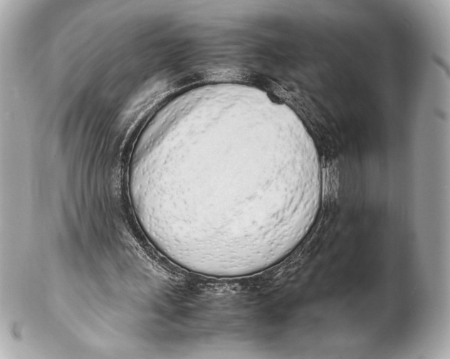 X0000102260243200808151847