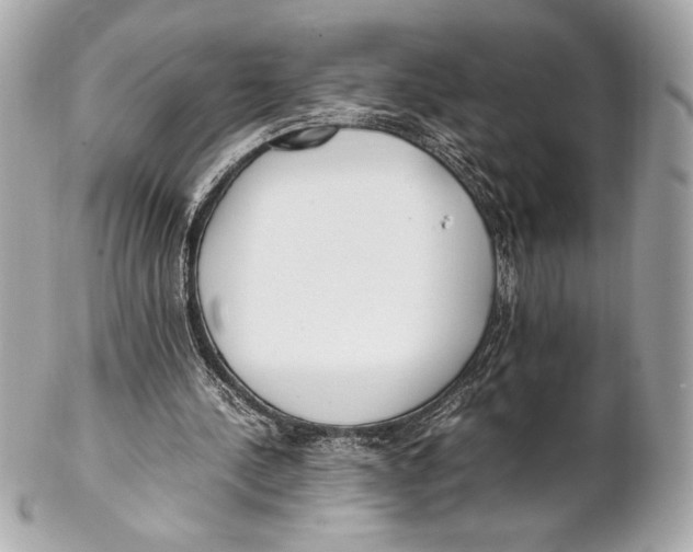 X0000102260244200808151847