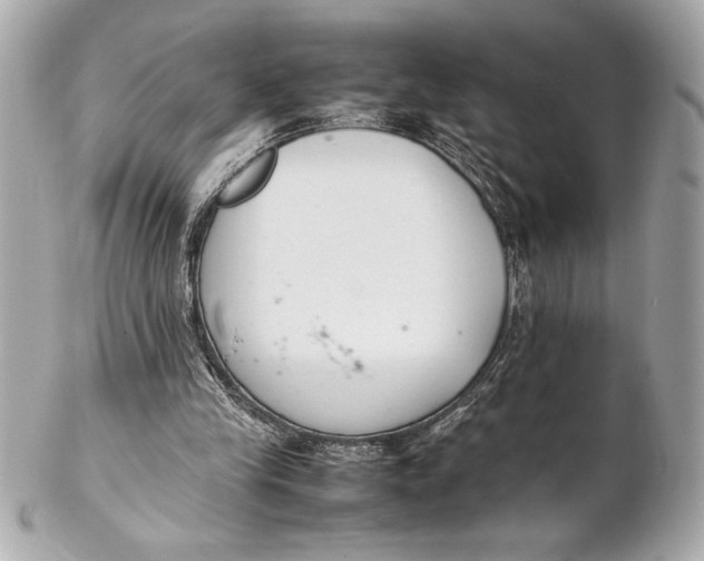 X0000102260245200808151847