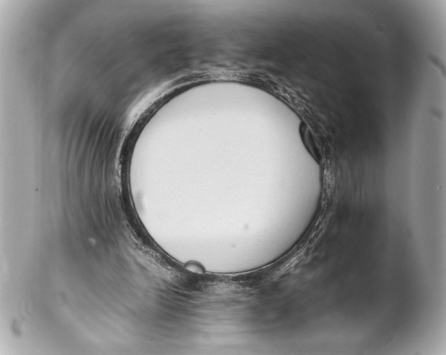 X0000102260246200808151847