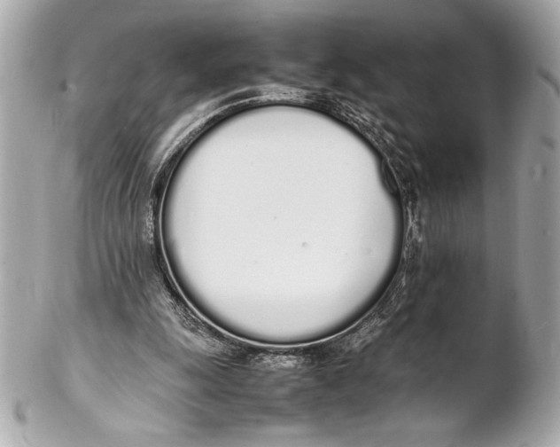 X0000102260247200808151847