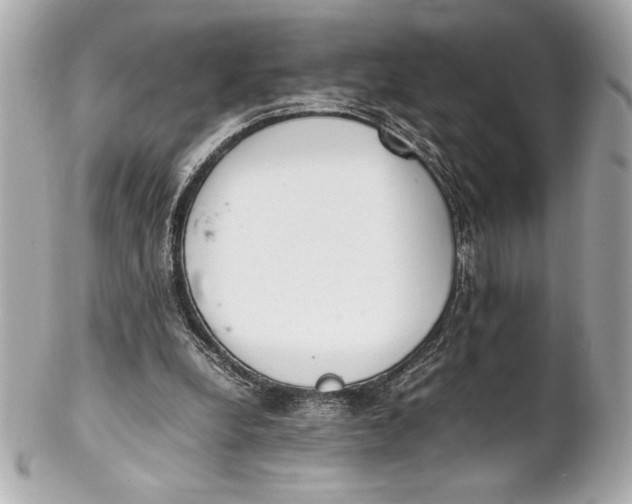 X0000102260248200808151847