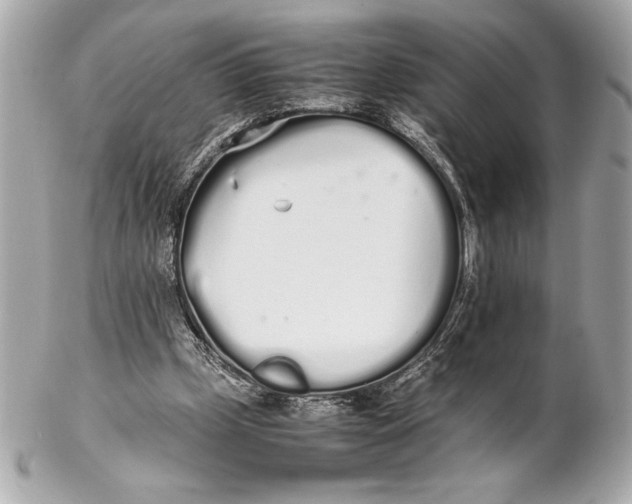 X0000102260249200808151847