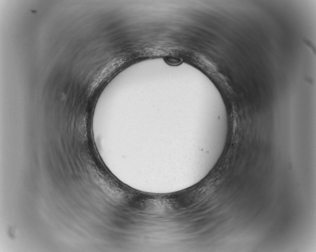 X0000102260250200808151847