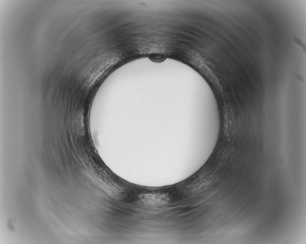 X0000102260251200808151847