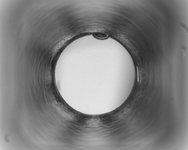 X0000102260252200808151847