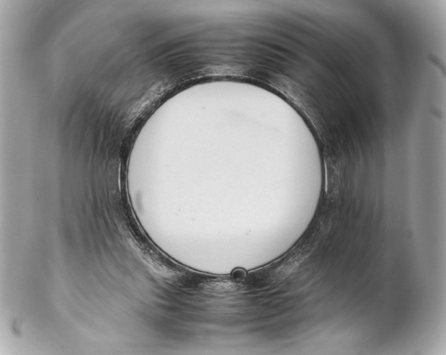 X0000102260253200808151847