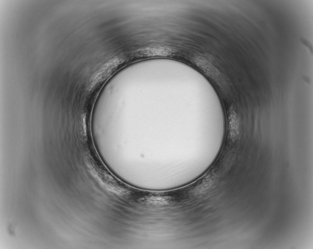 X0000102260254200808151847