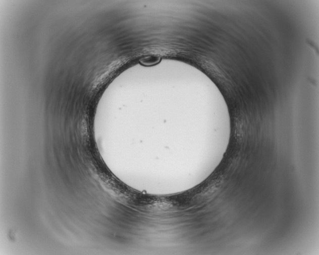 X0000102260256200808151847