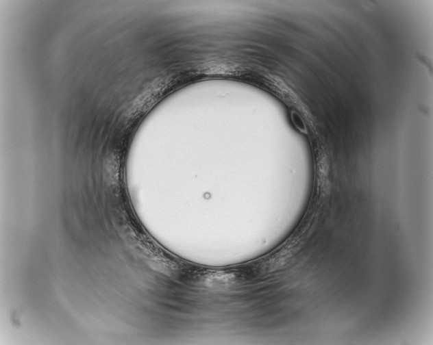X0000102260257200808151847