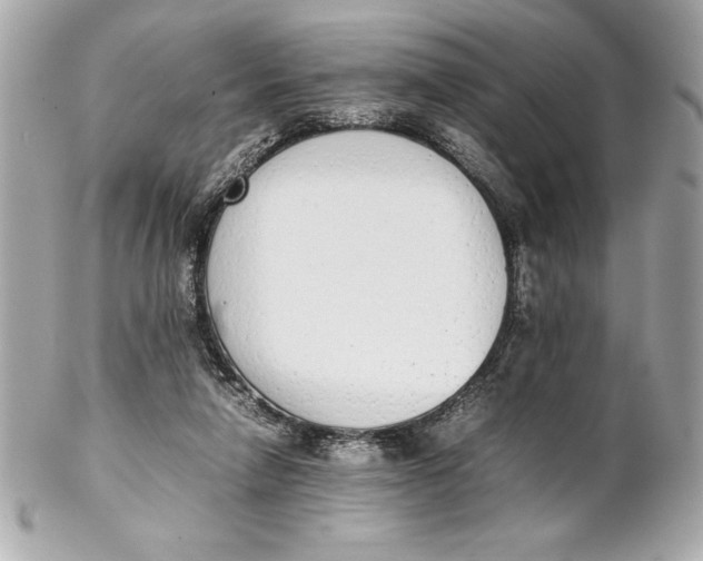 X0000102260258200808151847