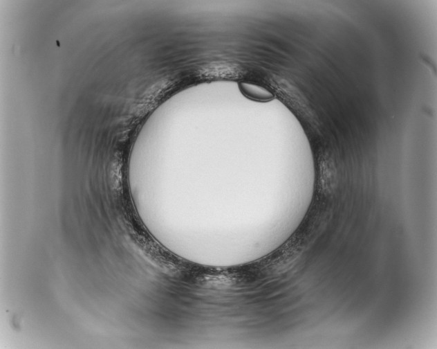 X0000102260259200808151847