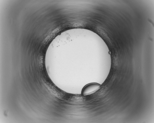 X0000102260260200808151847