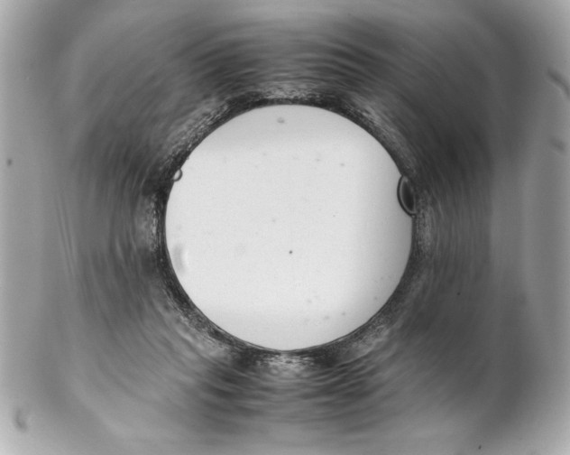 X0000102260261200808151847