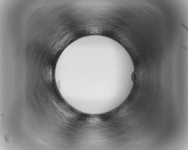 X0000102260262200808151847