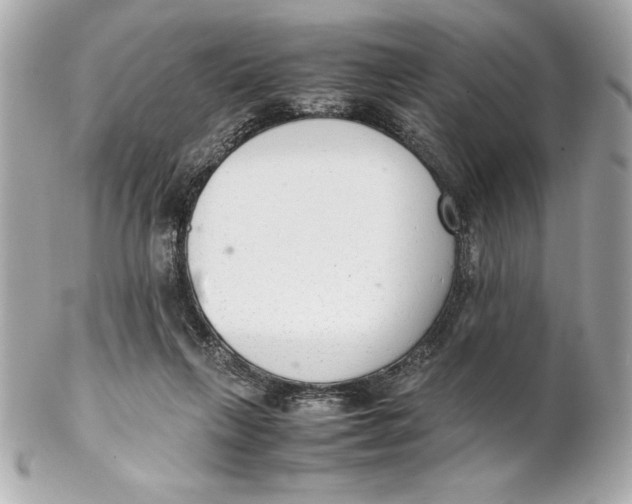 X0000102260263200808151847