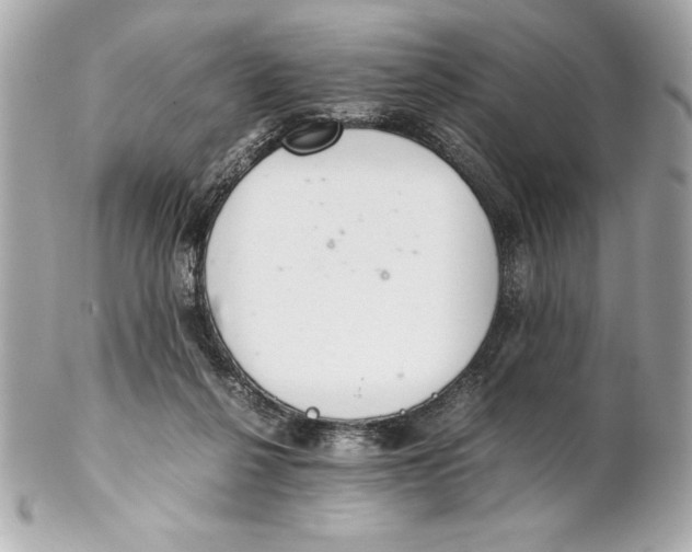 X0000102260264200808151847