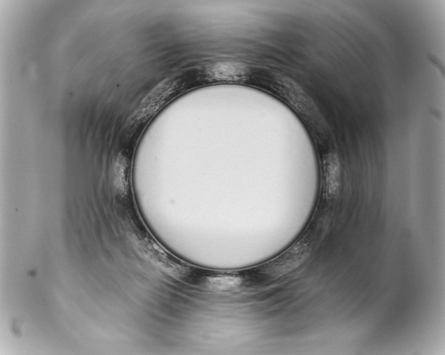X0000102260266200808151848