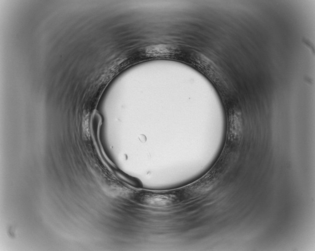 X0000102260267200808151848