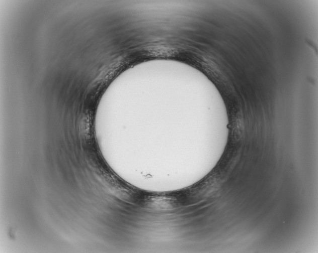 X0000102260268200808151848